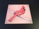 Alexisonfire - Old Crows/Young Cardinals (2XLP RARE)