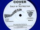 Cover The Child Of Destruction 