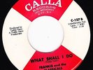 NORTHERN SOUL 45 RPM - FRANKIE AND THE CLASSICAL on CALLA RECORDS