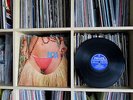 GAL COSTA India BRAZIL Orig LP Vinyl Philips 1973 MPB Tropicalia Jazz Sexy Nude