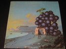 Moby Grape rare '69 LP Wow on US Columbia  mint-  psych blues  killer