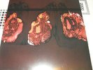 Deathspell Omega KENOSE LP 1PRESS burzum ved buens ende blut aus nord tyr Kénôse