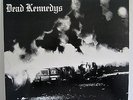 DEAD KENNEDYS: FRESH FRUIT FOR ROTTING VEGETABLES - 1981 UK REISSUE WITH POSTER