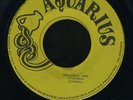 1154 ETERNALS-HALLELU JAH-CREPE SOULS-WORLD A BETTER PLACE-AQUARIUS-REGGAE 45 7