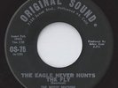 ORIGINAL SOUND garage 45  THE MUSIC MACHINE - Eagle Never Hunts The Fly  NICE