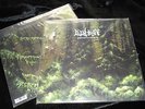 LESBIAN Forestelevision 2LP psychedelic prog-metal asva mammatus La Otracina NEW