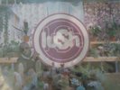 LUSH - Lovelife   VINYL LP CLEAR VINYL