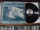 Revolutionary Army Of The Infant Jesus - PROBE PLUS LP NM acid psych folk