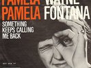 WAYNE FONTANA - Pamela Pamela (1966 VINYL SINGLE 7