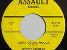 Johnny Johnson: Great Cooga Mooga | super rare r&b soul on Assault ***HEAR***