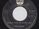 THE TRENDS Gonna Have To Show You on ABC 45 northern soul HEAR