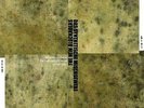 The New Blockaders Das Synthetische Mischgewebe ?– Monosyllabic Bicycles LP+ 7