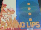 Flaming Lips- Zaireeka Vinyl Box Record Store Day