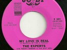 The Experts 45 