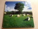 the KLF - Chill Out (JAMS LP5, unofficial) Vinyl