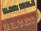 THE SPINS 45 - VALLEY OF TEMPLES - SPACEY ITALO COSMIC FUNK DISCO DUB oHEARo