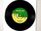 THE KINGSTONIANS - PUT DOWN YOUR FIRE - DOCTOR BIRD - ROCKSTEADY- REGGAE