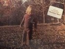 Allman brothers band brothers and sisters unopened analog lp cp 0111 Capricorn