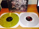 La Dispute - Wildlife dark yellow & clear 2x LP vinyl 1st press touche amore
