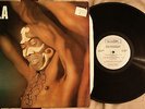 FELA ANIKULAPO-KUTI Afrobeat funk LP on CELLULOID “Army Arrangement” USA  NICE