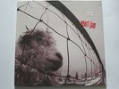 Pearl Jam VS Clear Sticker Z 53136 Sealed