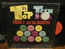 LP   Jesse J. And The Bandits     Mega-rare Garage Fuzz Screamer     Shrink
