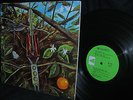  RARE ORIG 1968   DRAGONFLY = HARD HEAVY FUZZROCK BLASTER
