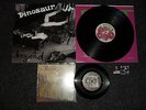 Dinosaur Jr. – Beyond LP+7'' Single, Vinyl, J MASCIS, WEEZER, VINES, etc.
