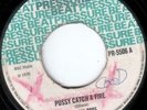 SOUL BROS (REGGAE BOYS?) - PUSSY CATCH A FIRE - PRESSURE BEAT