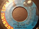 Burning Spear Getting From Bad To Worst Killer Roots 7