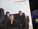 LP ALTERNATIVE ROCK * THE CRANBERRIES : NO NEED TO  ARGUE * + OIS 1994 ISLAND