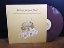 Andrew Jackson Jihad PEOPLE WHO CAN EAT Orig LP BROWN VINYL 1st Press NM