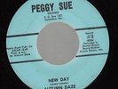 HEAR Garage Psych Funk 45 AUTUMN DAZE New Day on Peggy Sue