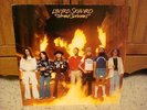 LYNYRD SKYNYRD STREET SURVIVORS FLAMES LP GERMANY IMPORT LP ROCK VINYL NM