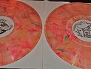 Bruce Springsteen No Nukes Multi Colored Tie Dye 2 LP  Jackson Browne Tom Petty