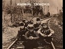 **Animals - Animal Tracks - UK PS/EP
