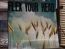 FLEX YOUR HEAD dischord LP SEALED minor threat teen idles government issue PUNK