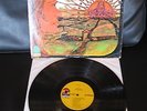 THE CHILDREN Rebirth ORIG. 1968 HEAVY HARD PSYCH ROCK LP on Atco SD 33-271