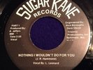 L. Leonard 45 Nothing I Wouldn't Do For You Sugar Kane Records DC Modern Soul