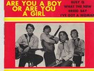 THE BARBARIANS  French EP ARE YOU A BOY OR ARE YOU SLEEVE ONLY  MINT CONDITION