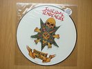 SUICIDAL TENDENCIES Possessed To Skate UK 12