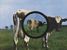Pink Floyd   Atom Heart Mother   - diff cover -  2 x Vinyl LP near mint