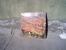 AC/DC Record Album Titled T.N.T. 1975
