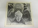  THE ANAL FLEAS 4 TRACK EP VINYL RECORD + INSERT + PICTURE SLEEVE