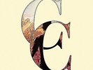 Common Courtesy by A Day to Remember [Import] Vinyl Record (2014) Brand New