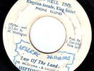 LEE PERRY BLACK ARK 