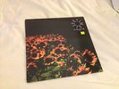 LIFETIME background LP kid dynamite paint it black saves the day punk