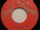 */NM Determinations 45rpm Memories Can't be/O My Love Sweet Space Records 45-304
