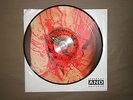 Dismember Indecent and Obscene Lim. Ed. PIC LP Orig. Release NB 1993