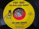 THE CAMEL DRIVERS - TOP DOG- THE GRASS IS ALWAYS GREENER - IT'S GONNA RAIN